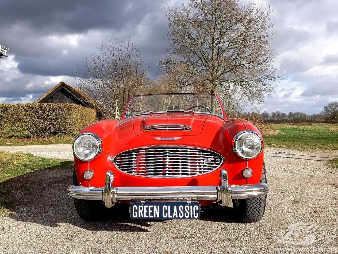 Austin-Healey BN6 2 Seater - 2
