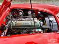Austin-Healey BN6 2 Seater - thumbnail 11