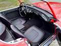 Austin-Healey BN6 2 Seater - thumbnail 7