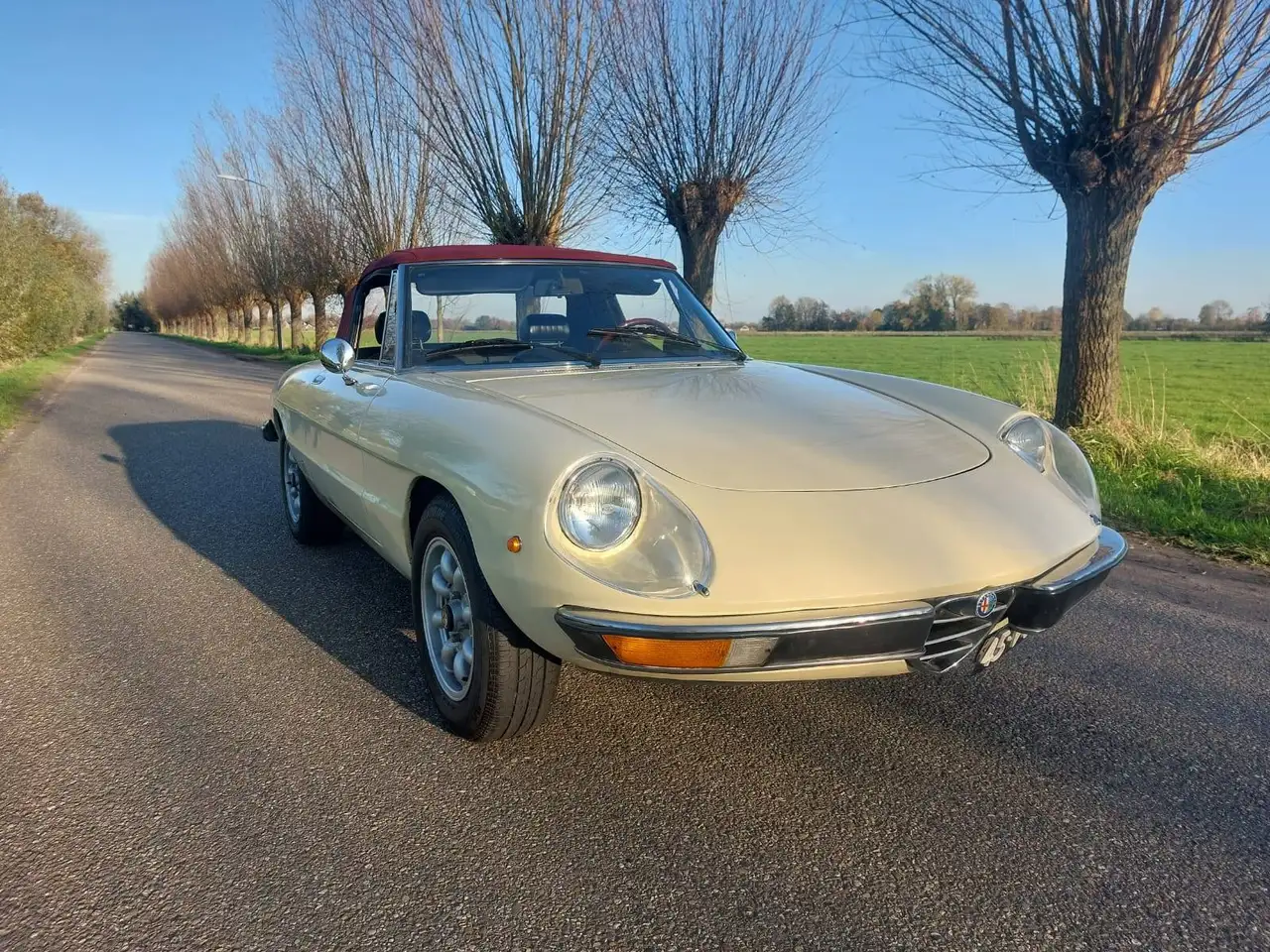 Alfa Romeo Spider Veloce, foto 9