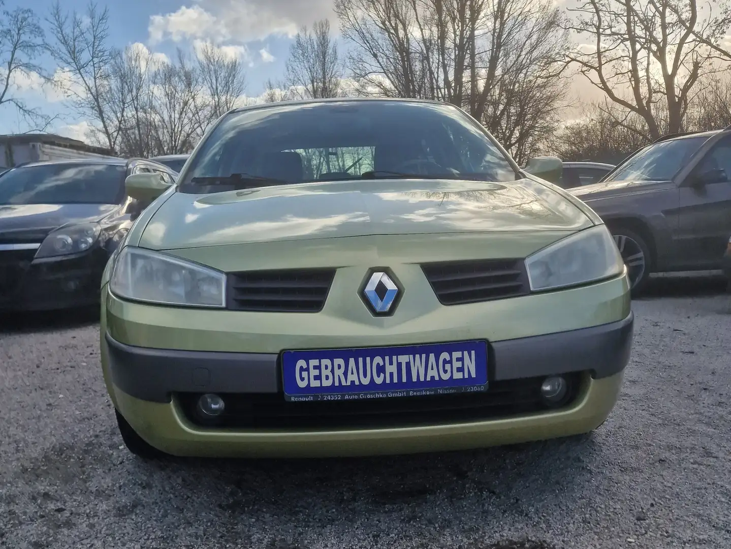 Renault Megane 1.6 Luxe Dynamique Green - 1