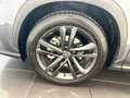 Lexus NX 450h+ NX 450h+ 2.5 phev Premium+ 4wd e-cvt Grigio - thumbnail 5