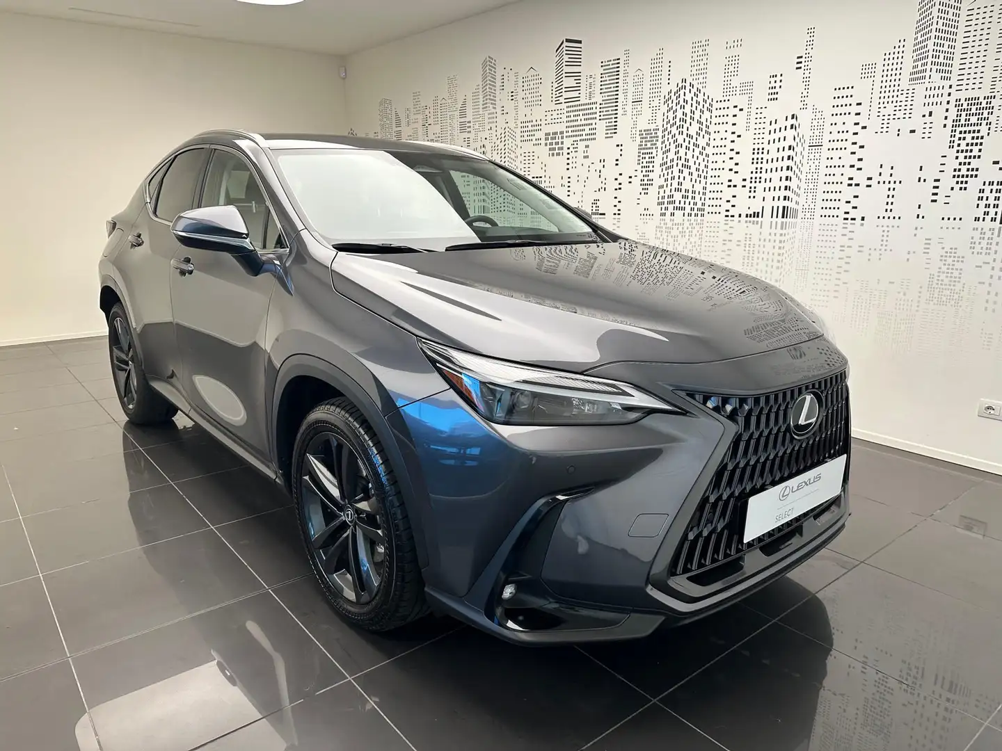 Lexus NX 450h+ NX 450h+ 2.5 phev Premium+ 4wd e-cvt Grigio - 2