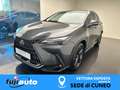 Lexus NX 450h+ NX 450h+ 2.5 phev Premium+ 4wd e-cvt Grau - thumbnail 1