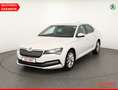 Skoda Superb 1.4 TSI iV LED Navi Sitzheizung AHK DAB Blanc - thumbnail 1