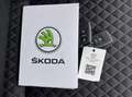 Skoda Superb 1.5 TSI ACT Business Edition Plus Automaat NAP Grau - thumbnail 43