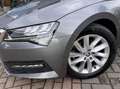 Skoda Superb 1.5 TSI ACT Business Edition Plus Automaat NAP Grau - thumbnail 7