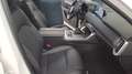 Mazda CX-60 3.3L e-Skyactiv D 249 CV M Hybrid AWD Homura Bianco - thumbnail 10