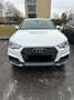 Audi A4 allroad A4 allroad quattro 2.0 TDI S tronic Weiß - thumbnail 1