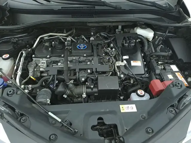 Toyota C-HR view 13