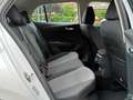 Skoda Fabia Selection Bianco - thumbnail 9