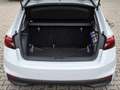 Skoda Fabia Selection Bianco - thumbnail 11