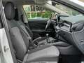 Skoda Fabia Selection Bianco - thumbnail 8