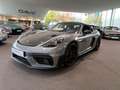 Porsche Boxster 718 Boxster Spyder RS*Weissach*Lift*Bose*90Liter Grau - thumbnail 1