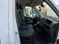 Peugeot Boxer Tiefkühl / Kühl / KO LBW 165 *ABVERKAUF* Weiß - thumbnail 19