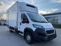Peugeot Boxer Tiefkühl / Kühl / KO LBW 165 *ABVERKAUF* Weiß - thumbnail 14