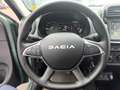 Dacia Spring Extreme Electric 65 *NAVI*KLIMA*PDC* Verde - thumbnail 10