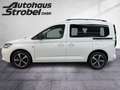 Volkswagen Caddy Life1,5 l TSI 85 kW DSG Kamera*KR*LED*Pano Weiß - thumbnail 3