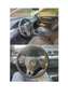 Volkswagen Passat Passat 2.0TDI Advance BMT Advance Azul - thumbnail 4