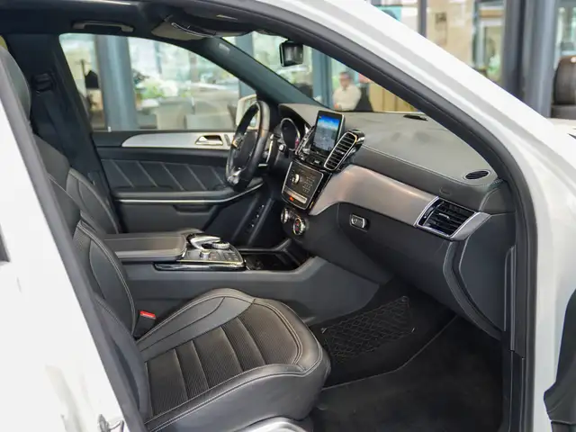 Mercedes-Benz GLS view 10