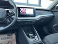 Skoda Octavia Combi 2,0 TDI Ambition DSG * Standheizung / AHK... Noir - thumbnail 19