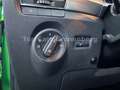 Skoda Fabia Combi Ambition*DSG*Behindertengerecht*EU6* Grün - thumbnail 16