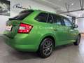 Skoda Fabia Combi Ambition*DSG*Behindertengerecht*EU6* Grün - thumbnail 30