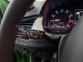 Skoda Fabia Combi Ambition*DSG*Behindertengerecht*EU6* Grün - thumbnail 15