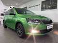 Skoda Fabia Combi Ambition*DSG*Behindertengerecht*EU6* Grün - thumbnail 28