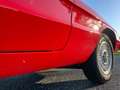 Alfa Romeo Spider Spider 2.0 Veloce - Nette staat - Dubbele Solex Rood - thumbnail 15