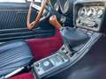 Alfa Romeo Spider Spider 2.0 Veloce - Nette staat - Dubbele Solex Rood - thumbnail 6