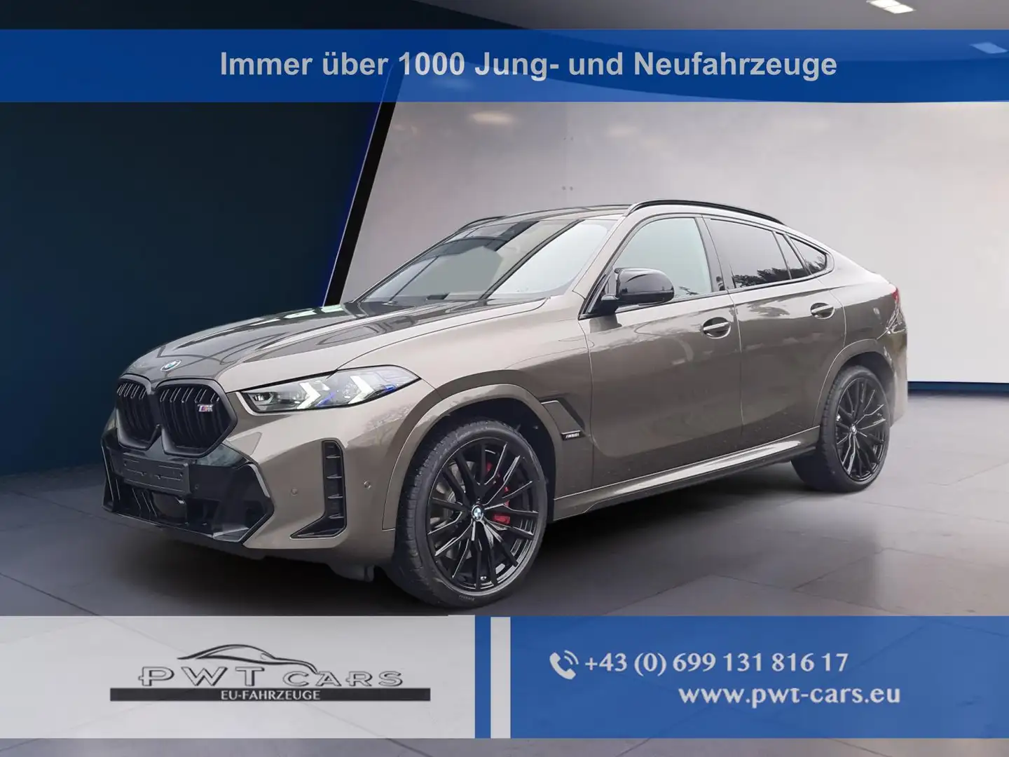 BMW X6 M60 i xDrive M60i DrivAssPro+Innovation+Wärme+P... Grün - 1