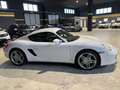 Porsche Cayman Cayman I 987 2.7 bijela - thumbnail 3