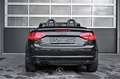 Audi A3 Cabriolet 1.8 TFSI Attraction Pickerl NEU Schwarz - thumbnail 2