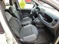 Fiat Panda Panda 1.0 FireFly S&S Hybrid City Life Blanc - thumbnail 7