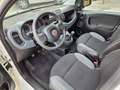Fiat Panda Panda 1.0 FireFly S&S Hybrid City Life Blanc - thumbnail 6