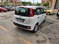 Fiat Panda Panda 1.0 FireFly S&S Hybrid City Life Blanc - thumbnail 4