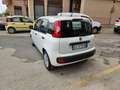 Fiat Panda Panda 1.0 FireFly S&S Hybrid City Life Blanc - thumbnail 5
