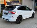 Ford Kuga ST-Line X PHEV AUT Blanco - thumbnail 3