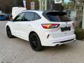 Ford Kuga ST-Line X PHEV AUT Blanco - thumbnail 5