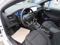 Ford Focus ST-Line X Panoramadach LED ACC RFK LED el. Heckkla Blanco - thumbnail 10
