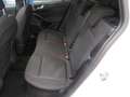 Ford Focus ST-Line X Panoramadach LED ACC RFK LED el. Heckkla Blanco - thumbnail 12