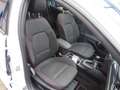 Ford Focus ST-Line X Panoramadach LED ACC RFK LED el. Heckkla Blanco - thumbnail 15