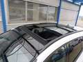 Ford Focus ST-Line X Panoramadach LED ACC RFK LED el. Heckkla Blanco - thumbnail 9
