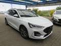 Ford Focus ST-Line X Panoramadach LED ACC RFK LED el. Heckkla Blanco - thumbnail 3