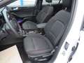 Ford Focus ST-Line X Panoramadach LED ACC RFK LED el. Heckkla Blanco - thumbnail 11