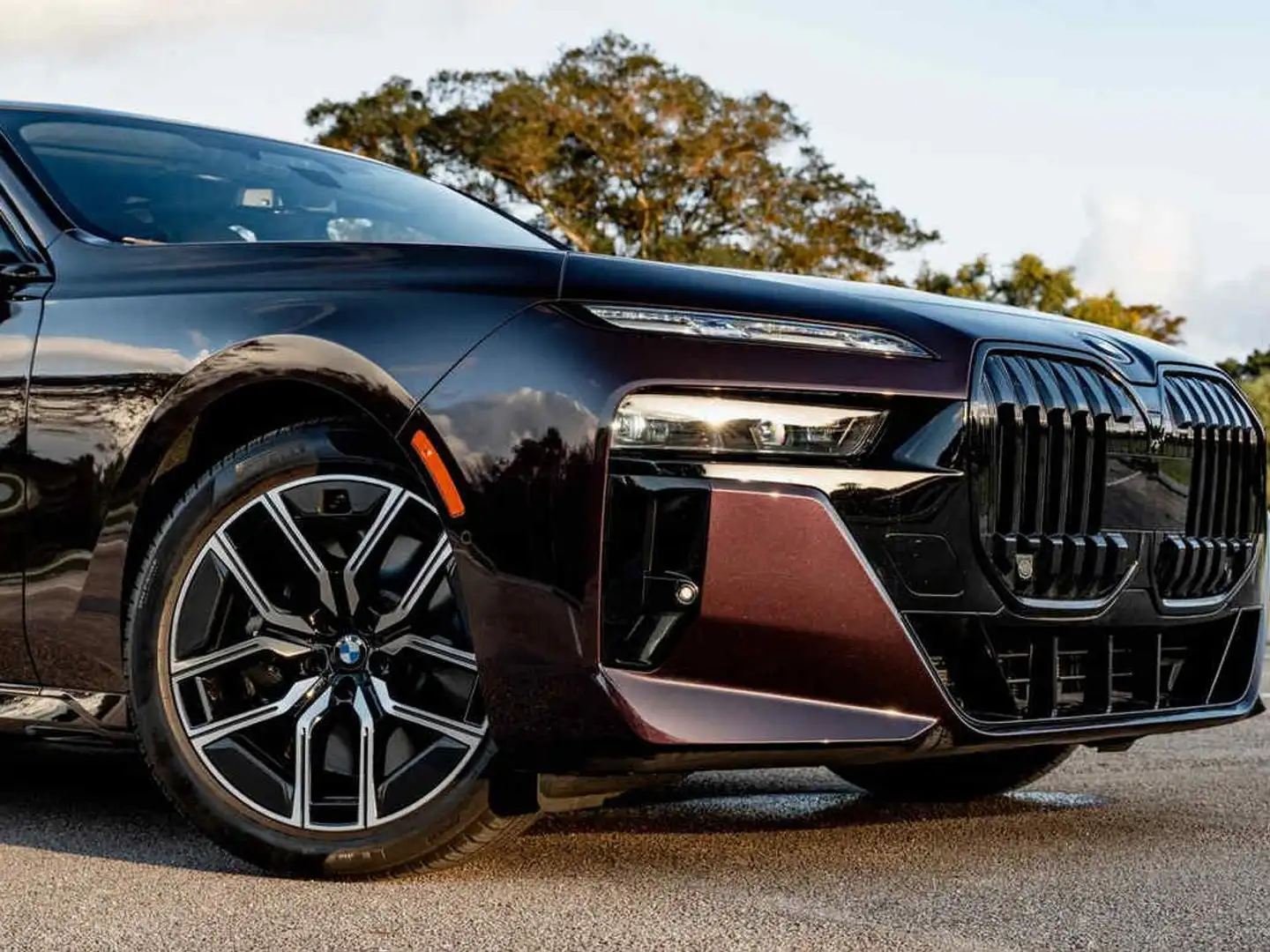 BMW 760 BMW 760i xDrive 4.4-liter V8 linked with a 48-volt Braun - 2