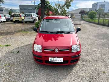 Panda 1.2 Dynamic 2011
