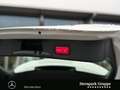 Mercedes-Benz B 200 B 200 Progressive LED/Kamera/VorrDistr/el.Heckk. Weiß - thumbnail 19