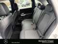 Mercedes-Benz B 200 B 200 Progressive LED/Kamera/VorrDistr/el.Heckk. Weiß - thumbnail 17